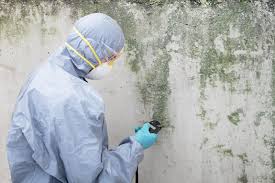 Best Mold Prevention Services  in Mangum, OK